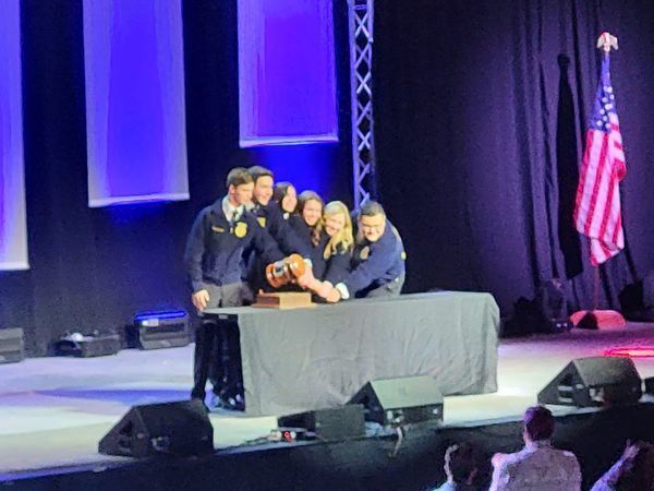 student officers together on ffa stage behind table holding hands 
